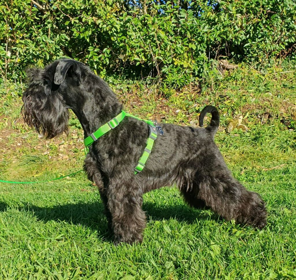 Vintus n pax Des matins de cristal