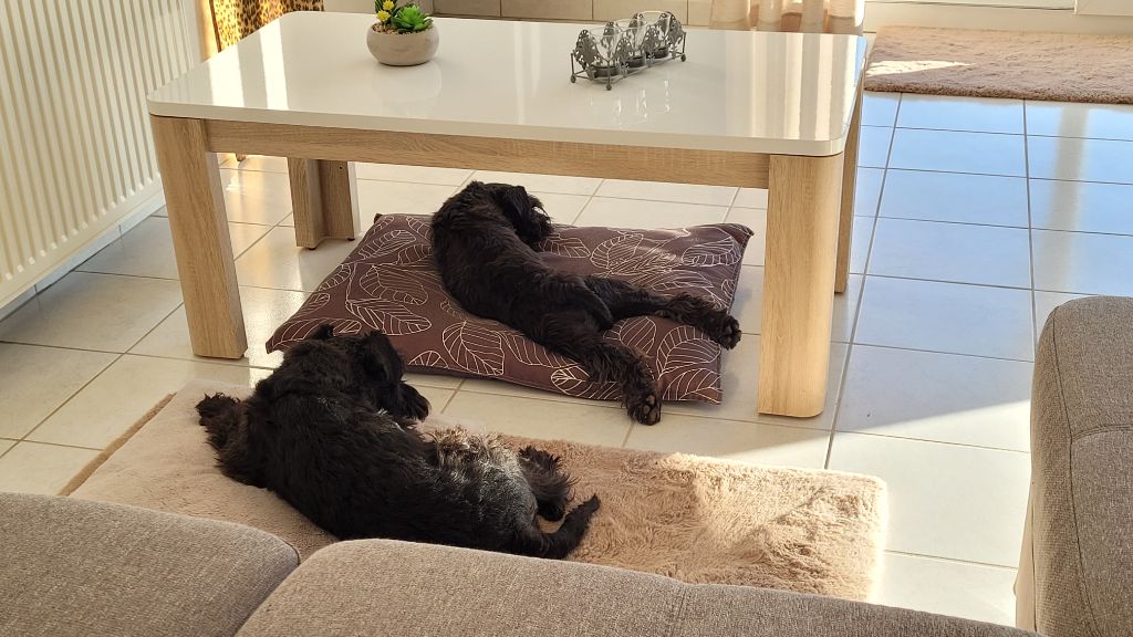 Repos bien mérité !